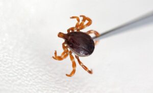 资讯文章插图