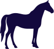 picto-chevaux