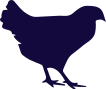 picto-oiseaux