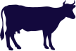 picto-ruminants
